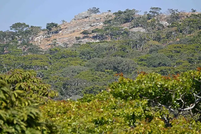 Réserve naturelle de Nkhotakota