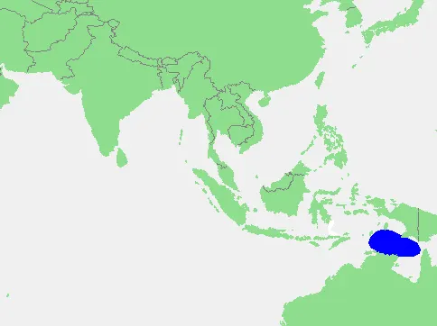 Arafura Sea