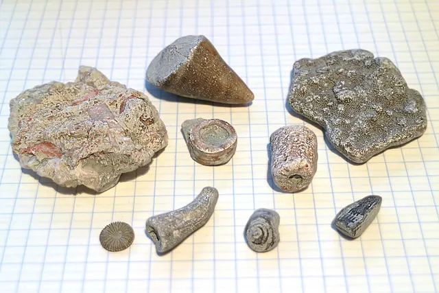 Geology of Gotland