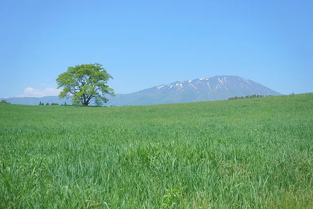 Iwate Prefecture