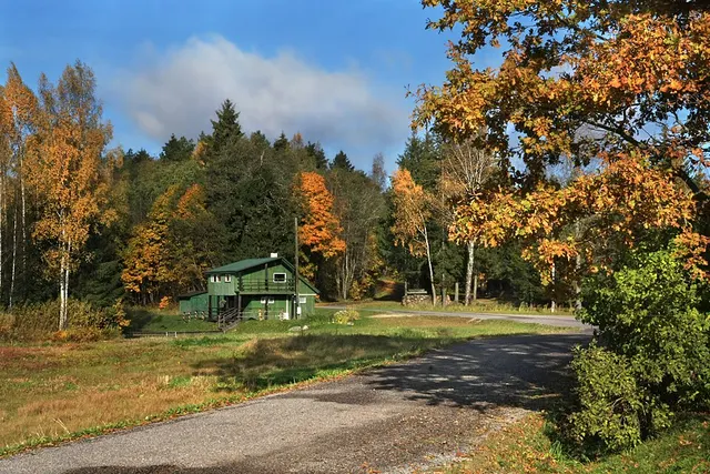 Vakari