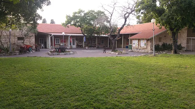 Alonim