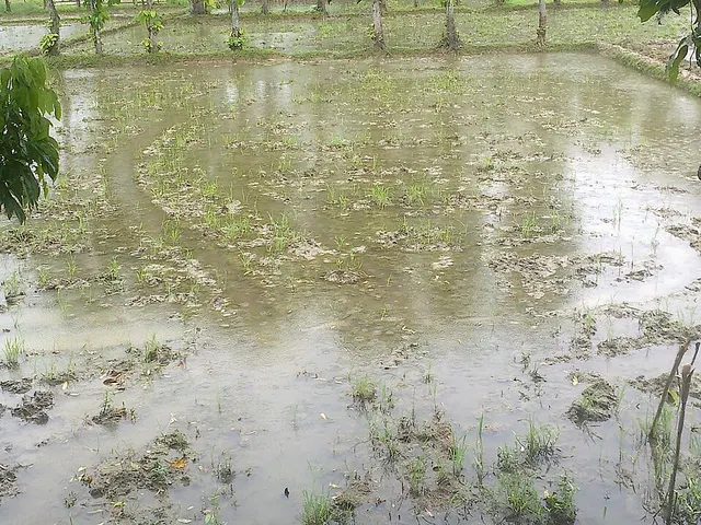 Surface agricole utile
