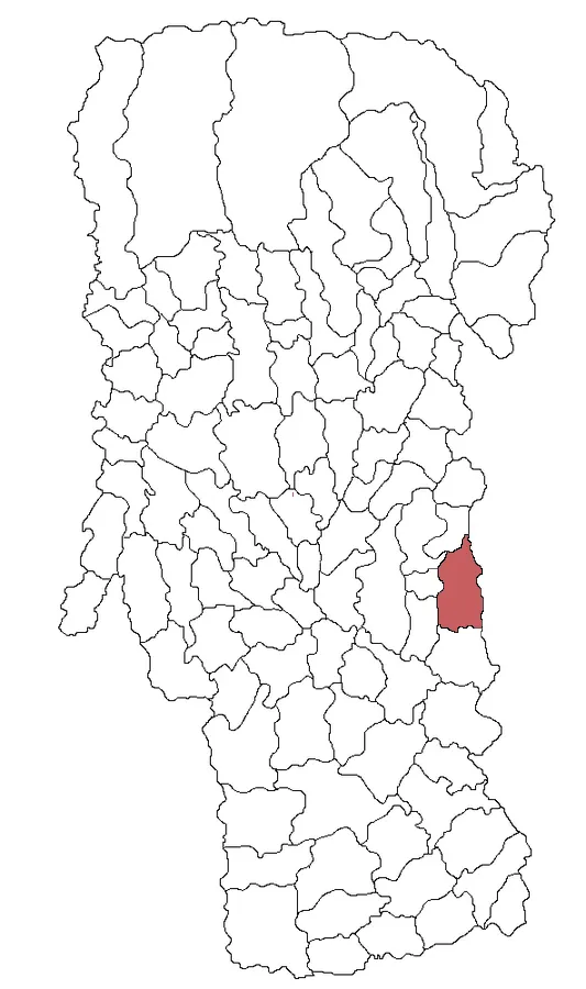 Bogați