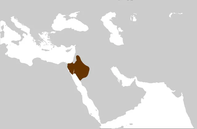 Royaume nabatéen