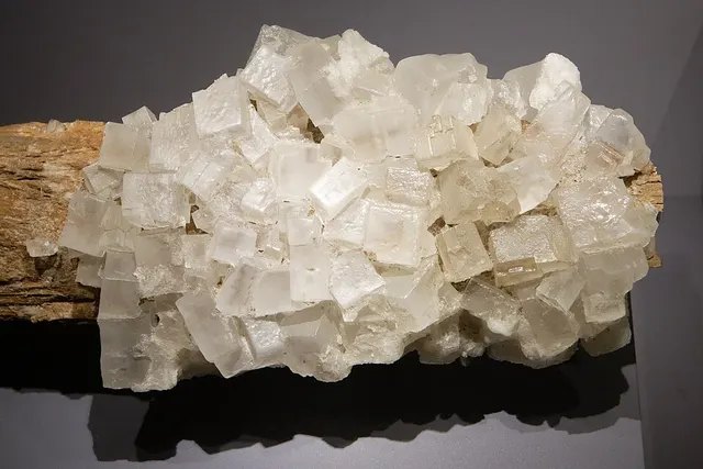 Évaporite
