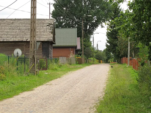 Aleksicze