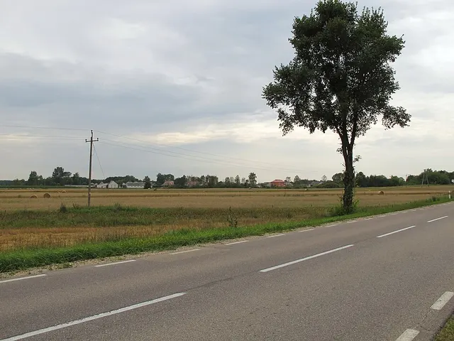 Kurpiki
