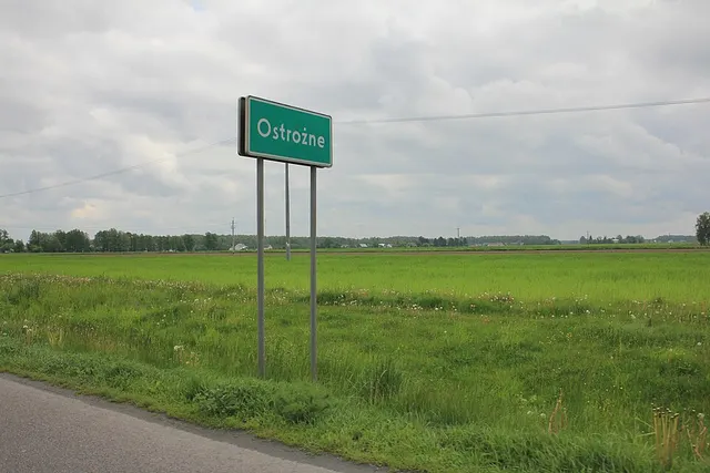Ostrożne