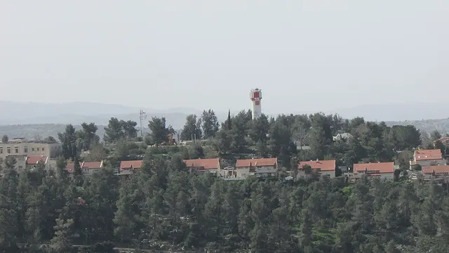 Dolev