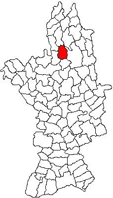 Oporelu