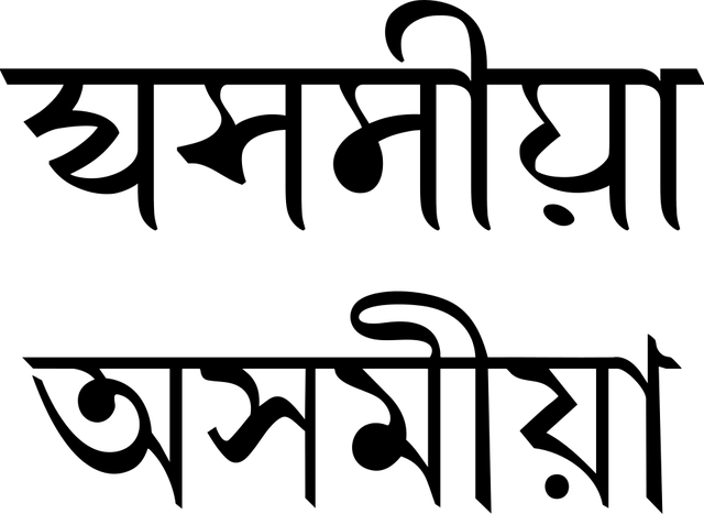 Assamese language