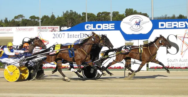 Trot attelé