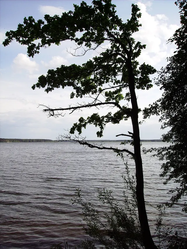 Barkowice Mokre