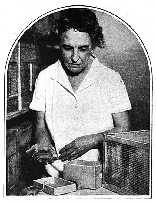 Maud Slye