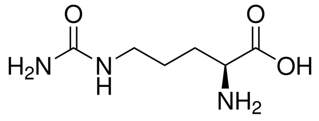 Citrullinémie