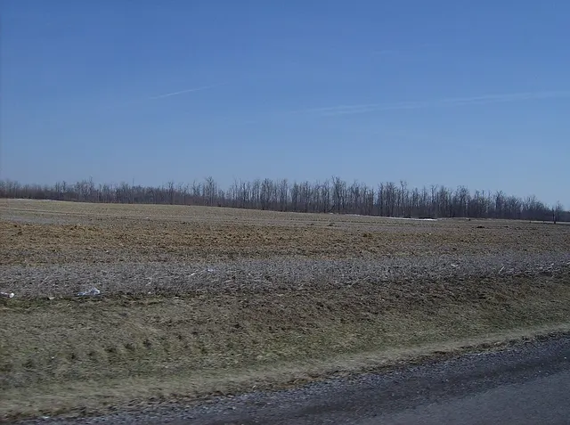 Lake Township, Logan County, Ohio
