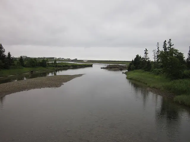 Bonaventure River