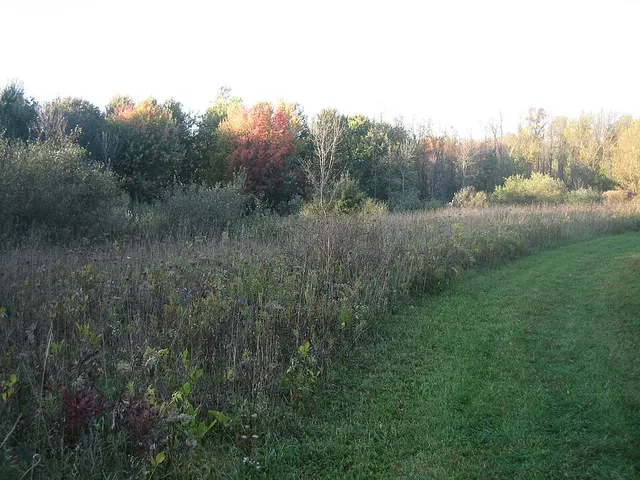 Black Creek Park