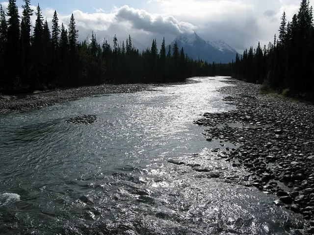 Whirlpool River