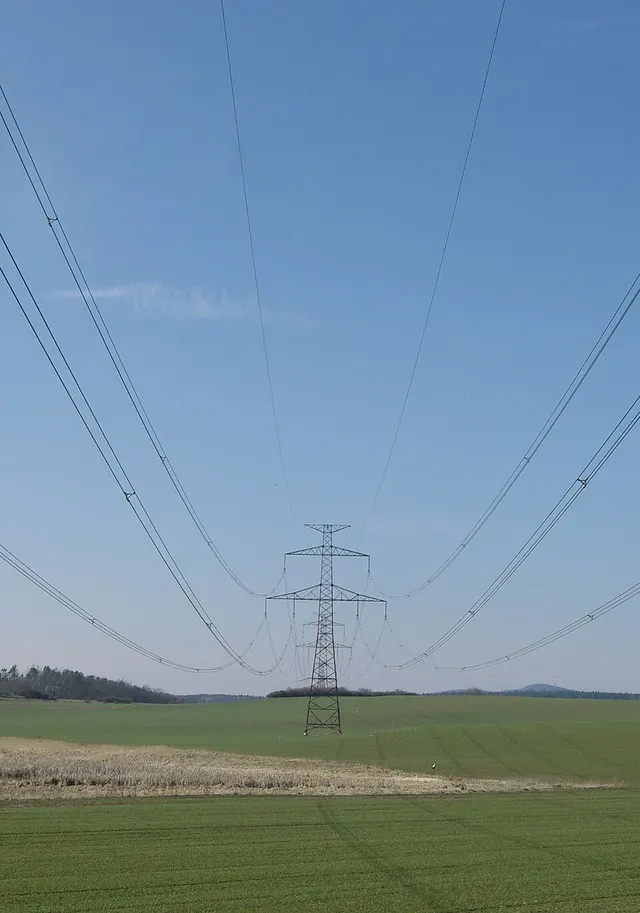 Electrical conductor