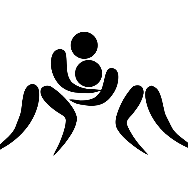 Wrestling at the 1972 Summer Olympics – Men's freestyle 82 kg