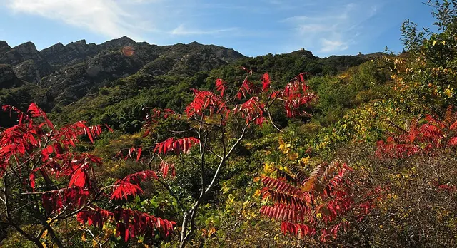Wuzuolou Forest Park