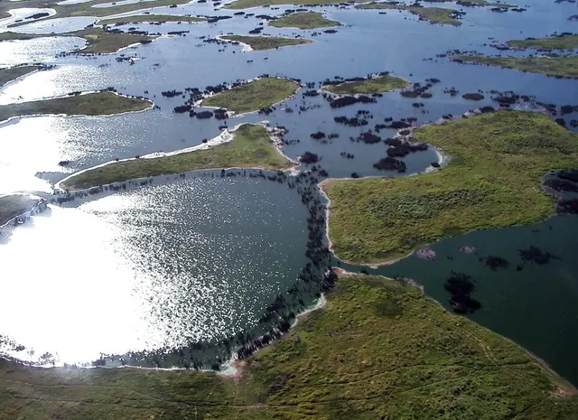 Flooded grasslands and savannas