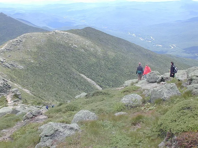 Alpine tundra