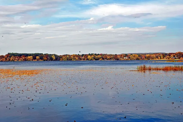 Tainter Lake