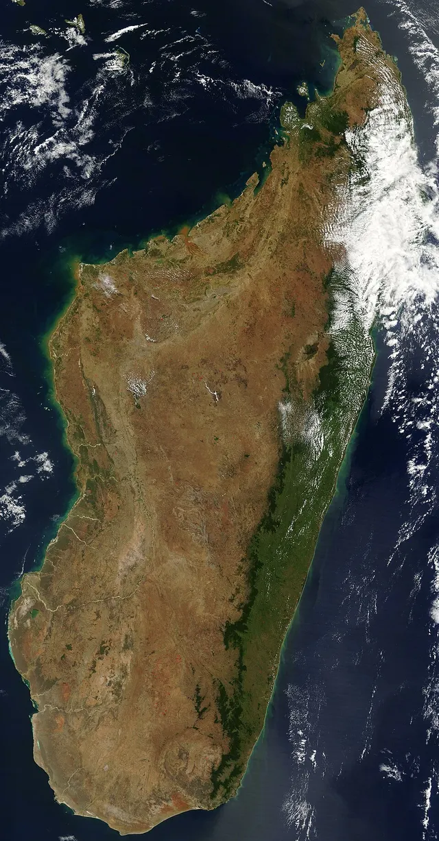 Amphibiens de Madagascar