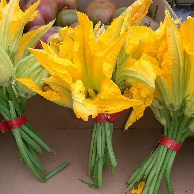 Squash blossom
