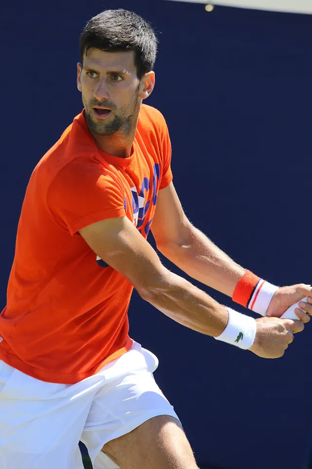 Liste des champions de tennis vainqueurs en Grand Chelem en simple