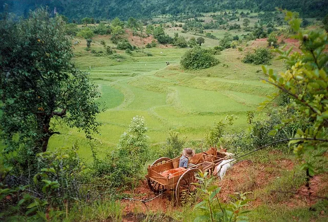 Agriculture in Myanmar