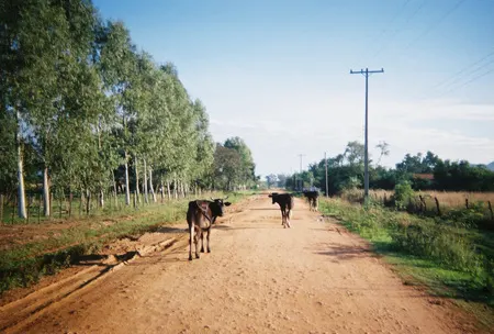 Dirt road