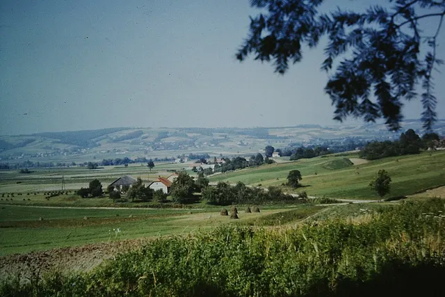 Kozłów