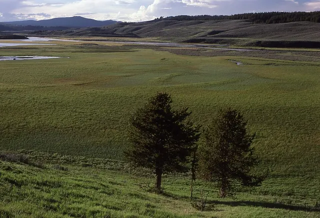 Hayden Valley