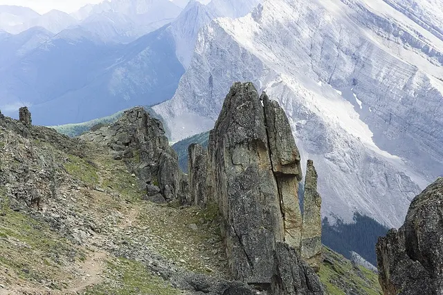 Cadomin Formation
