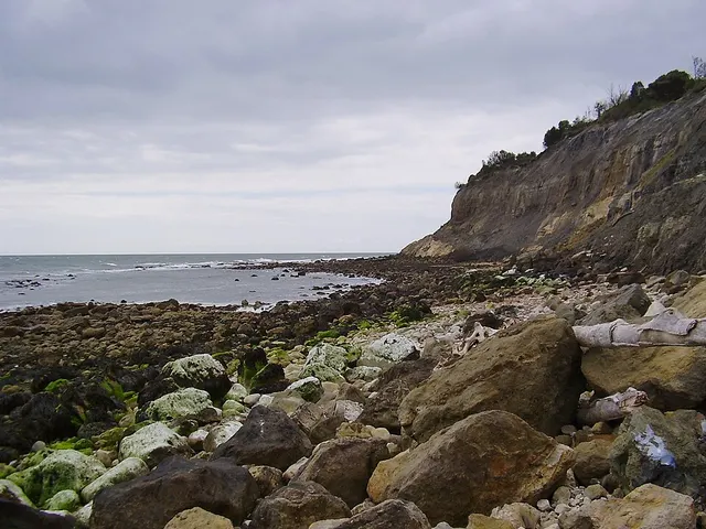 Steel Bay