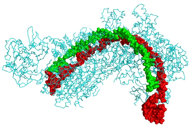 CRISPR