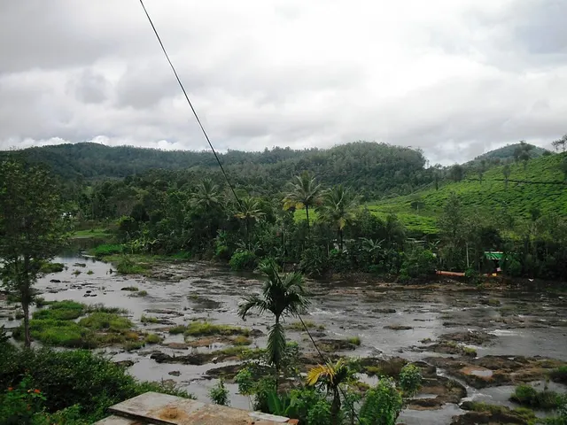 Vandiperiyar