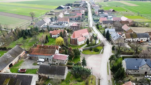 Pępice