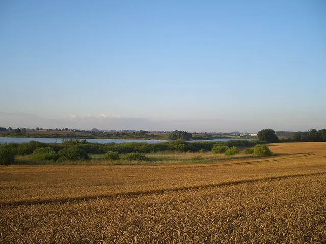 Sumpfsee