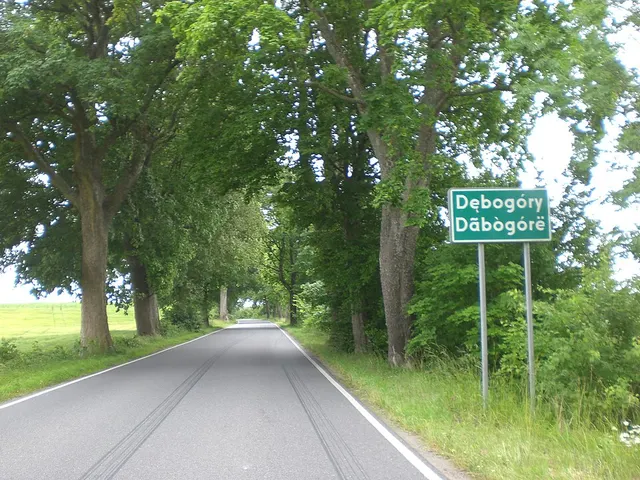 Dębogóry