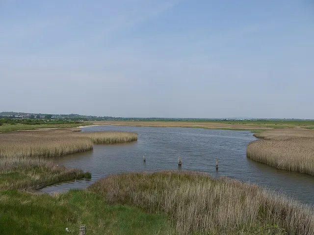 Hampshire and Isle of Wight Wildlife Trust