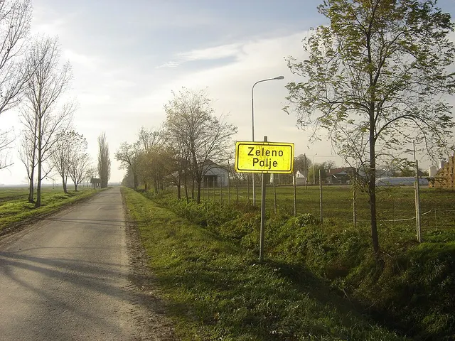 Zeleno Polje