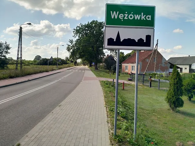 Wężówka