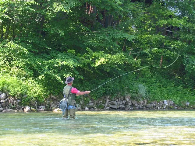 Pêche à la mouche
