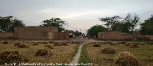 Chak 129