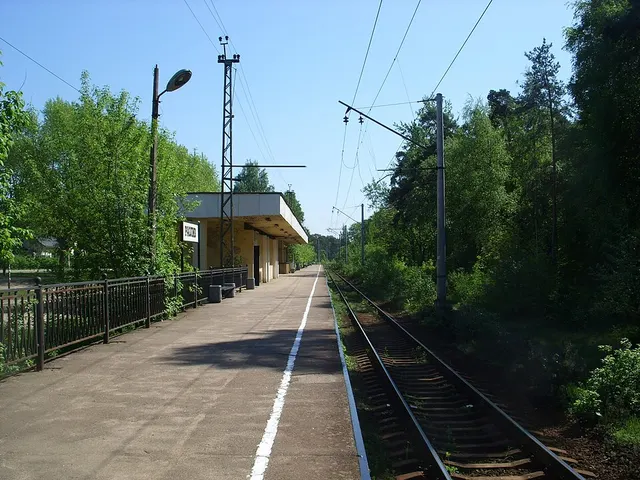 Razliv railway station